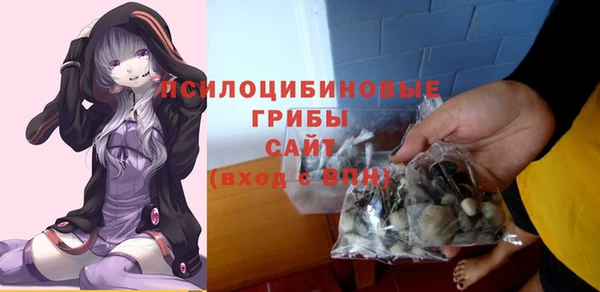соль ск Вязьма