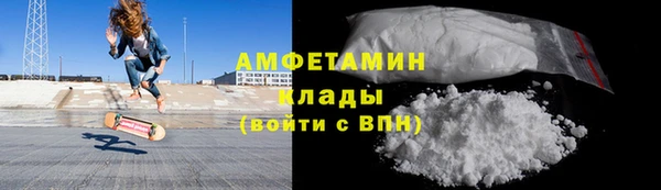 индика Вязники