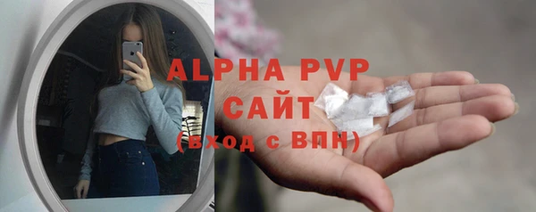 индика Вязники