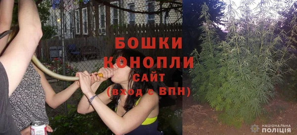 индика Вязники