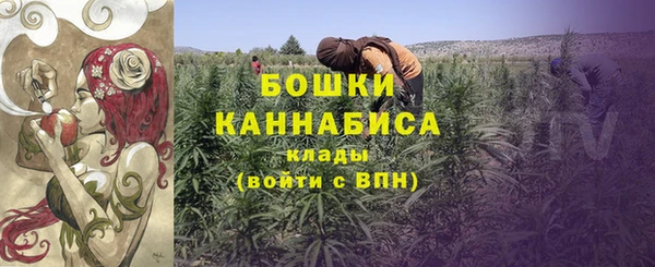 индика Вязники
