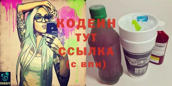 индика Вязники