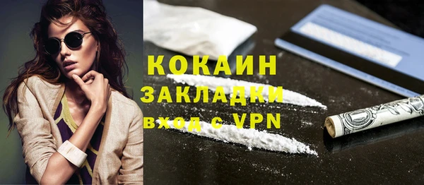 индика Вязники