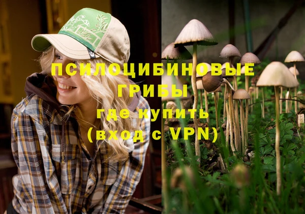 MDMA Вяземский