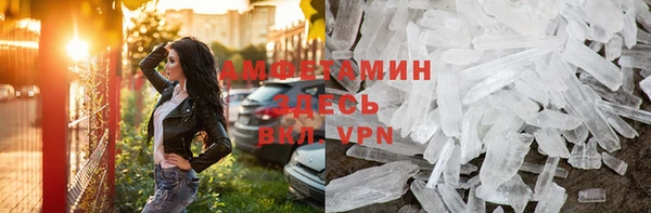 индика Вязники