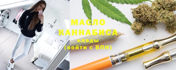 индика Вязники