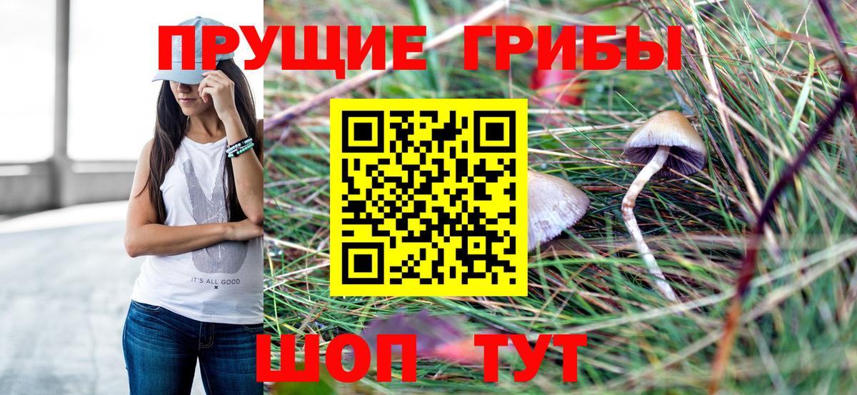 Галлюциногенные грибы прущие грибы  Гай 