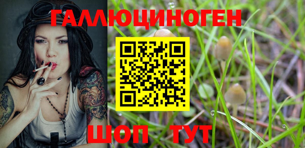 Псилоцибиновые грибы ЛСД Гай