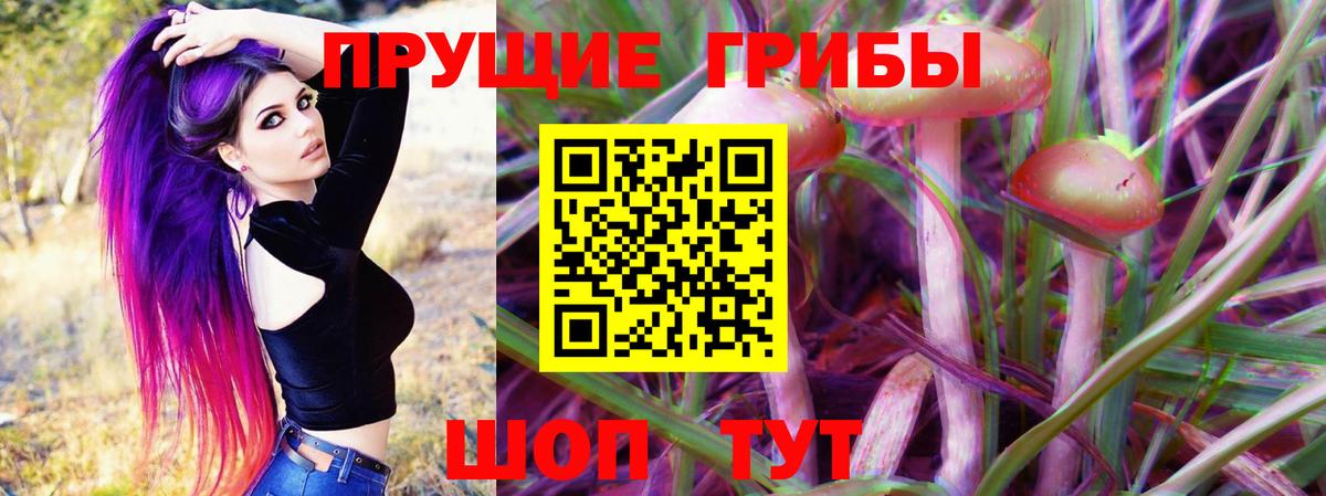 дарнет шоп  Псилоцибиновые грибы MAGIC MUSHROOMS  Вход с VPN  Гай  Псилоцибиновые грибы ЛСД 